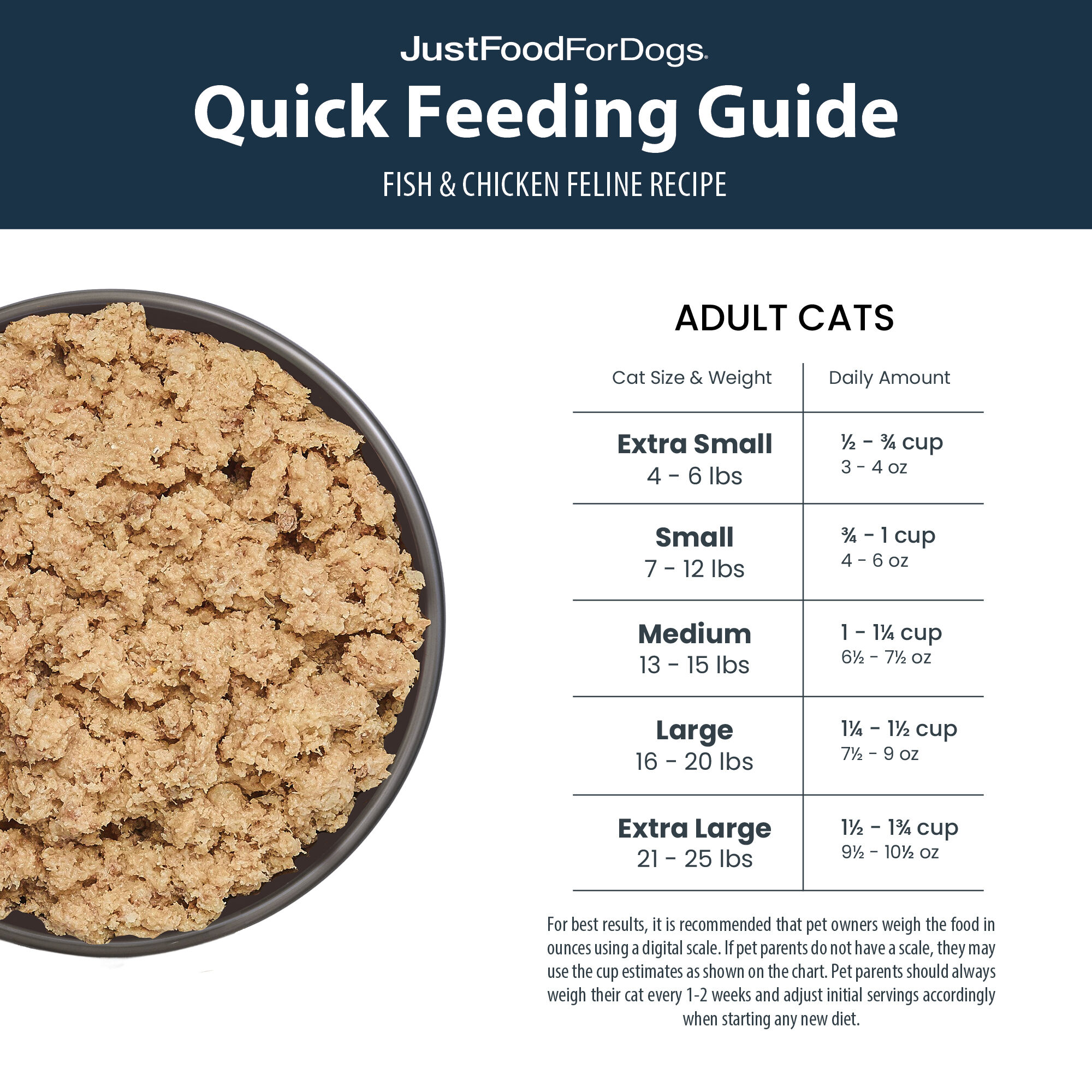 JustCats Fish Chicken Small Box JustFoodForDogs